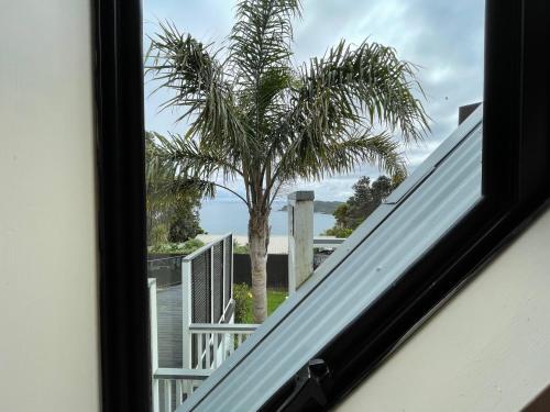 a view of a palm tree from a window at The Jazz Loft in Onetangi