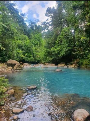 Landskap semula jadi dekat dengan chalet