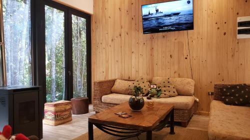 Телевизор и/или развлекательный центр в Cabaña Bosque Rio