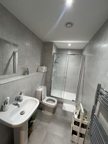 a bathroom with a toilet and a sink and a shower at Stunning Modern Apartment in High Wycombe
