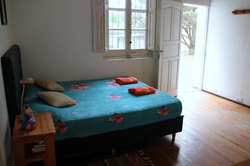 1 dormitorio con 1 cama con sábanas azules y almohadas rojas en Cabañas Bhakti Dham, hospedaje vegetariano en San Esteban
