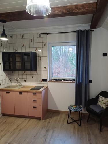 a kitchen with a sink and a window at Dwór pod Sosnami Kaszuby, sauna in Ostrzyce