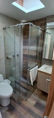 a bathroom with a shower with a toilet and a sink at CasAvella Paipa in Paipa