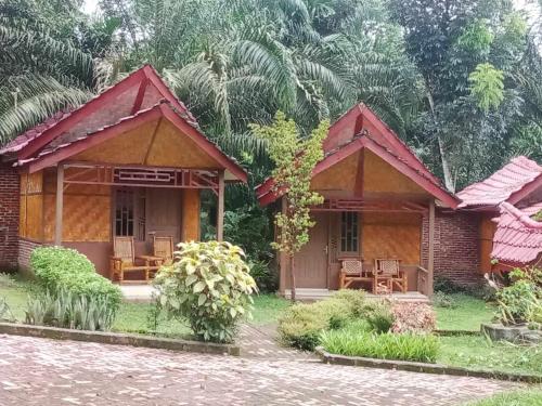 a small house with chairs in front of it at Orchid Bugalows. in Timbanglawang
