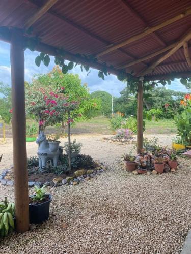 a patio with a bunch of potted plants under a pavilion at Cabañas Paulamar - Tolu in La Gloria