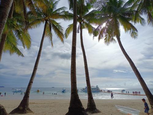 a group of palm trees on a beach with the ocean at Casita Isla Beach Inn in Boracay