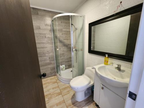 a bathroom with a shower and a toilet and a sink at Cabañita El Canelo in Algarrobo