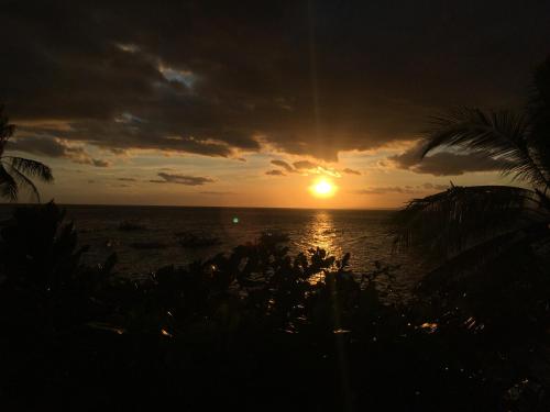 a sunset over the ocean with the sun setting at Liberty's Lodge and Diving - Apo Island in Dumaguete