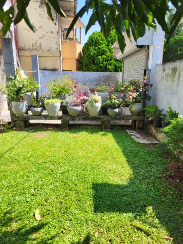 ShaNicky Villa في Kandana: صف من النباتات الفخارية على مقعد في الفناء