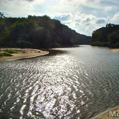 a body of water with trees in the background at Apartment Oasis A4 Kamchia in Bliznatsi