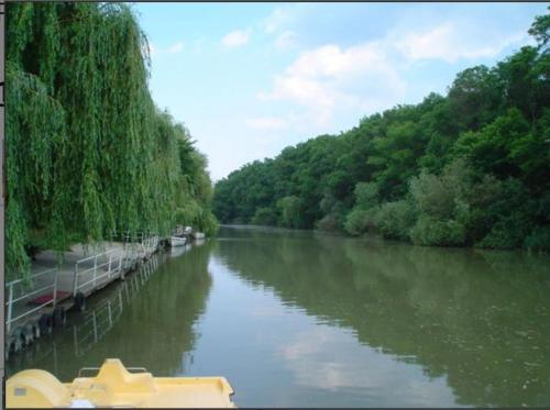 a boat on a river with trees on the side at Apartment Oasis A4 Kamchia in Bliznatsi