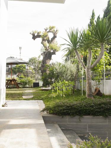 a garden with two palm trees and a sidewalk at SHALOM HOUSE _ BẢO LỘC in Bao Loc