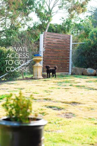 a black dog standing in a yard next to a fence at On Par for a Great Escape in Orange