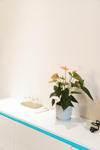 a plant sitting on top of a white counter at SHALOM HOUSE _ BẢO LỘC in Bao Loc