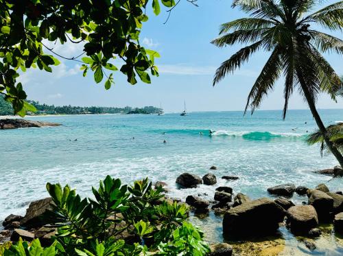 a beach with a palm tree and the ocean at Royal Palace Mirissa in Mirissa