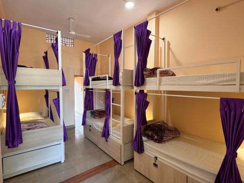 a room with three bunk beds with purple curtains at The BackpackStack in Ujjain