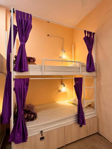 two bunk beds with purple curtains in a room at The BackpackStack in Ujjain