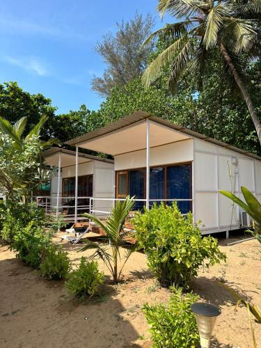 Mountain Palm patnem beach – Photos 2