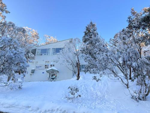 a house covered in snow with trees around it at Schuss Alpine Club, Mt Buller in Mount Buller