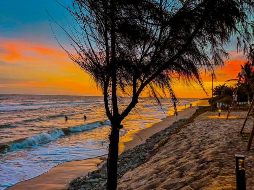a palm tree on a beach with a sunset at Long Hải Channel Beach Resort in Long Hai