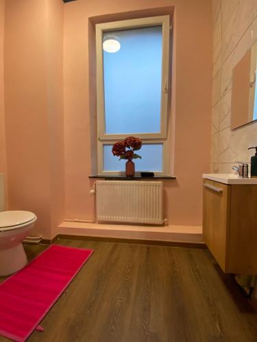 ein Bad mit einem Fenster und einem roten Teppich in der Unterkunft The Pink Blue in Lüttich