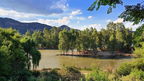 un fiume con alberi e montagne sullo sfondo di Oudewerf Fly Fishing on Vaal a Vredefort
