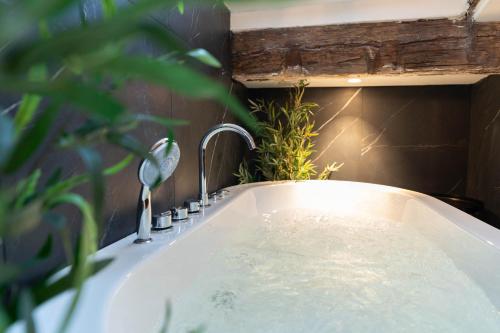 une baignoire avec un robinet et une plante dans l'établissement Superbe Loft - Vieux Nice - Balnéo, à Nice