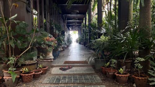a hallway filled with lots of potted plants at Private Beach House @ Hin Kong Beach in Hinkong