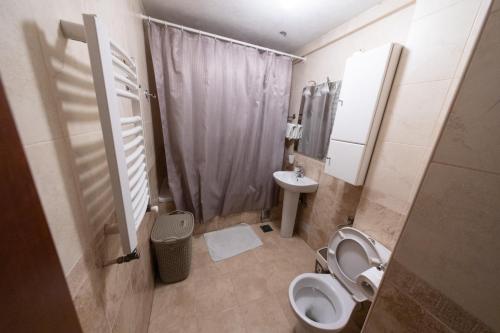 a small bathroom with a toilet and a sink at Lux Place Apartments Downtown in Kragujevac