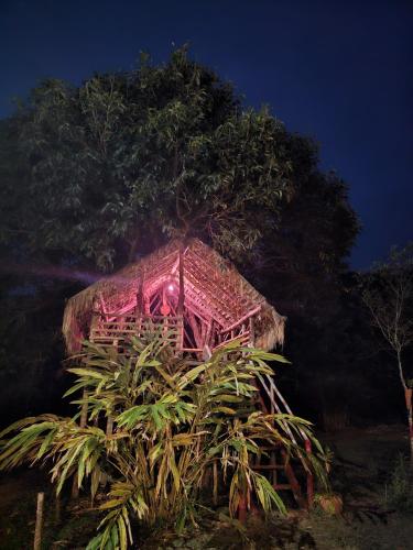 a tree house with pink lights on it at night at Coorg Coffee Park Farmstay in Somvārpet