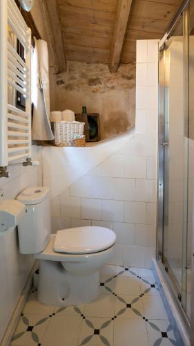 a bathroom with a toilet and a shower at Casa Rural La Chocolateria in Horche