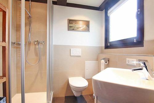 ein Bad mit einer Dusche, einem WC und einem Waschbecken in der Unterkunft Holiday park Immenstaad - DBE02005-FYC in Immenstaad am Bodensee