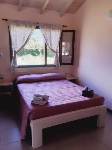 Cabañas Alma del Sur – Photos 4