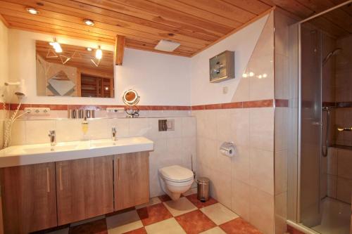 a bathroom with a toilet and a sink and a shower at Wagnerhof in Au am Inn