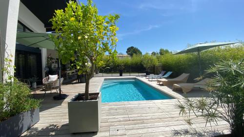 une piscine avec un arbre dans une cour dans l'établissement Villa Arcachonnaise, à Andernos-les-Bains