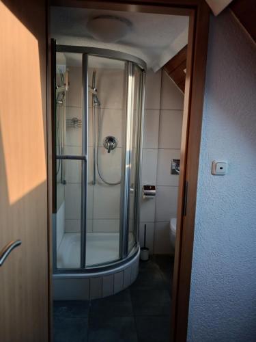 een badkamer met een douche en een glazen deur bij Stadt Hotel Marktheidenfeld in Marktheidenfeld