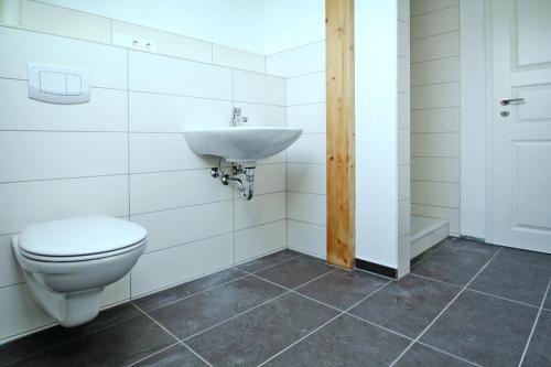 a bathroom with a toilet and a sink at Ferienhof Mirow, Mirow in Mirow