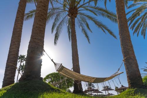 Κήπος έξω από το Elba Sara Beach & Golf Resort