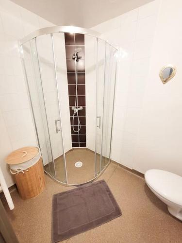 La salle de bains est pourvue d'une douche en verre et de toilettes. dans l'établissement Beau studio calme proche Part-Dieu et centre Lyon, à Villeurbanne