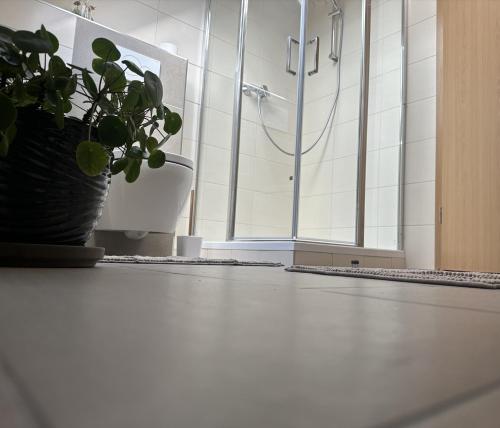 Koupelna v ubytování Ferienwohnung mit Balkon DG