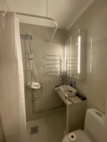 a bathroom with a shower and a toilet and a sink at Stockholm City in Stockholm