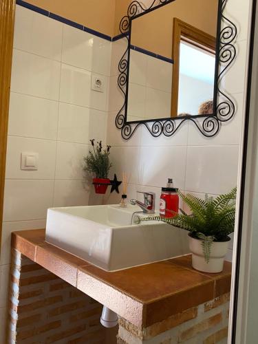 a bathroom with a white sink and a mirror at Tres Navíos en el Mar Casa Rural de 10 habitaciones con baño individual precios web in Montejo de Tiermes