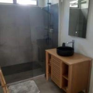 a bathroom with a shower with a sink and a mirror at Tiny House Moorea Haylee in Papetoai