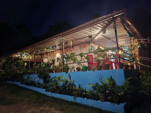 un invernadero con plantas por la noche en Coorg Coffee Park Farmstay, en Somvārpet