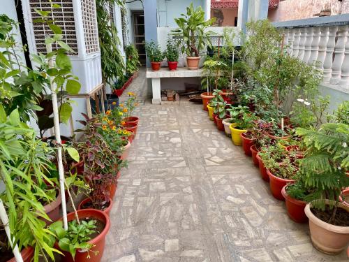 uma fila de vasos de plantas numa varanda em GARG COMPLEX GUESTHOUSE em Bharatpur