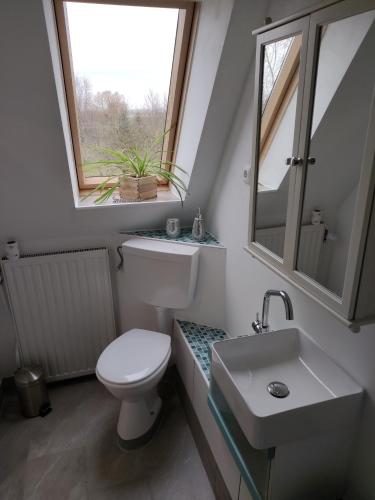 a bathroom with a toilet and a sink and a window at Eider in Karolinenkoog