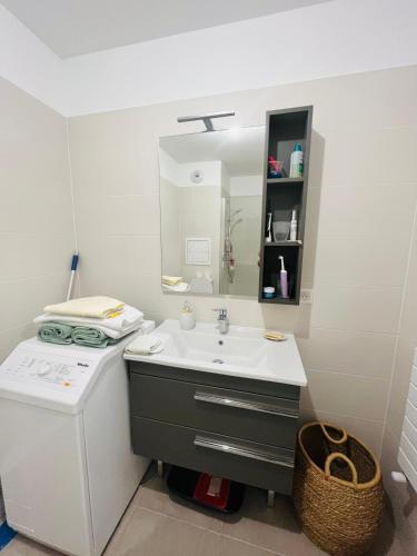 une salle de bain avec un lavabo et un miroir dans l'établissement Dream Dwell Paris-Fantastic modern flat near RER A Paris, à Saint-Maur-des-Fossés