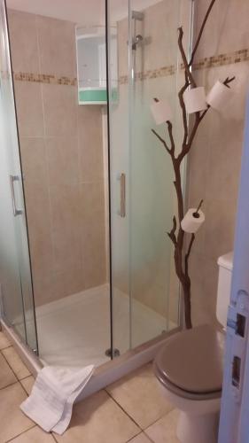 a shower with a glass door in a bathroom at un ecrin de verdure face à la mer in Isolaccio-di-Fiumorbo