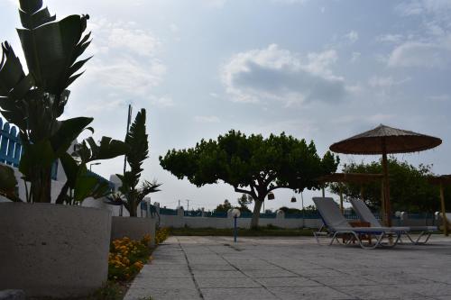 grupa krzeseł, parasol i drzewa w obiekcie Manos Pension w mieście Faliraki
