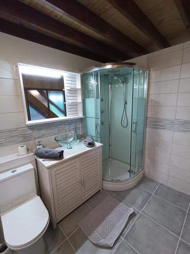 une salle de bain avec une douche, des toilettes et un lavabo dans l'établissement Domaine de karoli, à Barneville-sur-Seine